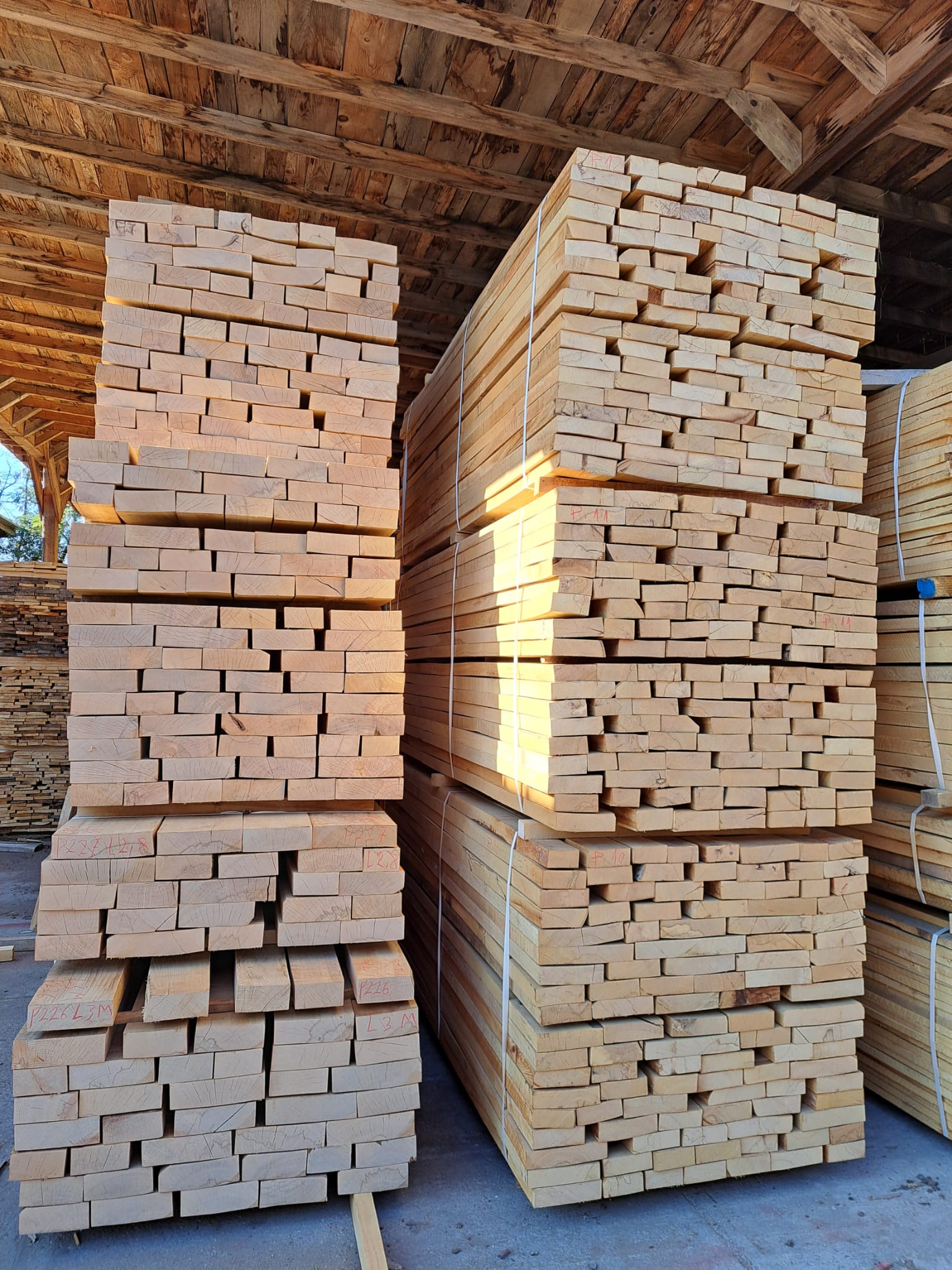 99f7de75-9cf5-4ffd-bbf9-6820a9bf51a2