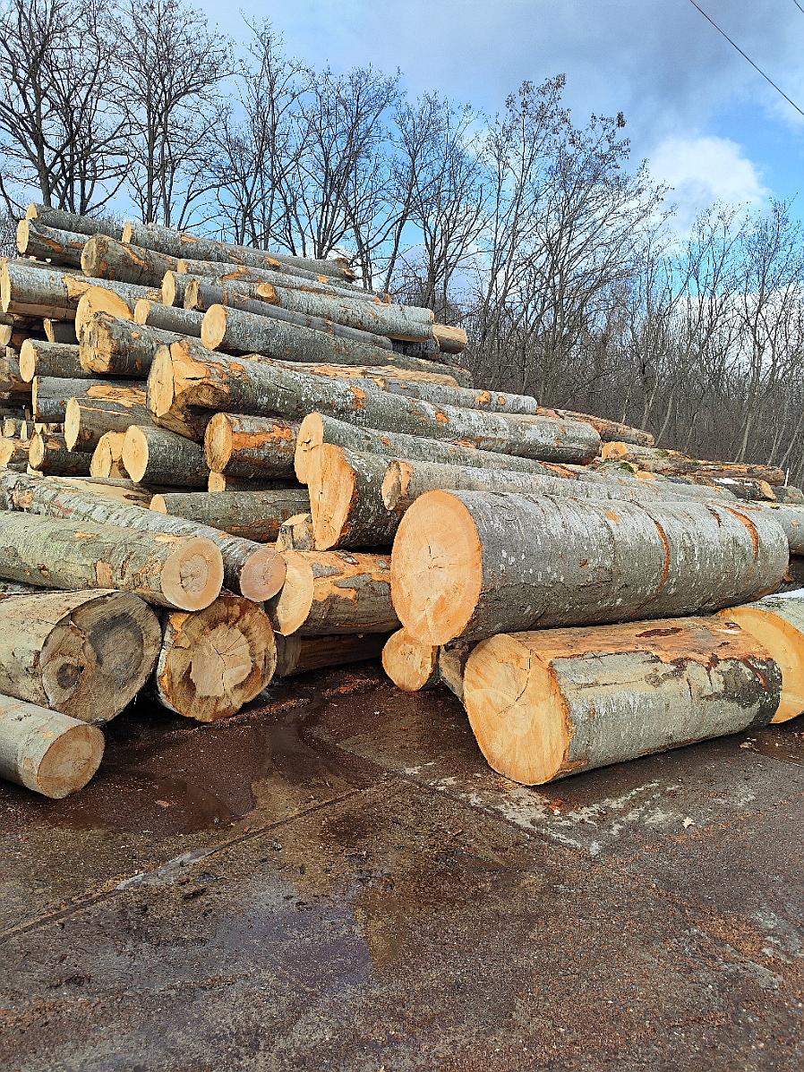 IMG_20240126_121845_enhanced (1)